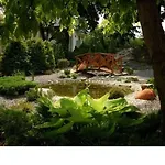 Hotel Papuga Park Wellness Marrakesz & 4*
